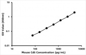 Mouse T-cell differentiation antigen CD6 (Cd6) ELISA Kit (RK07446)
