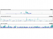 CTCF Rabbit mAb (A19588)