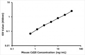 Mouse T-cell-specific surface glycoprotein CD28 (CD28) ELISA Kit (RK07117)