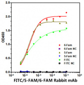 FITC/5-FAM/6-FAM Rabbit mAb (A22444)