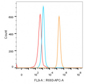 CD40 Rabbit mAb (A20214)