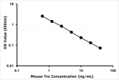 Mouse Tenascin (Tnc) ELISA Kit (RK08996)