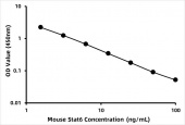 Mouse Signal transducer and transcription activator 6 (Stat6) ELISA Kit (RK08637)