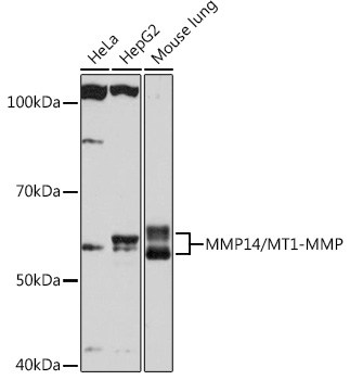 A0067_2.jpg