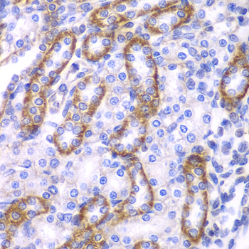 A0190_2.jpg