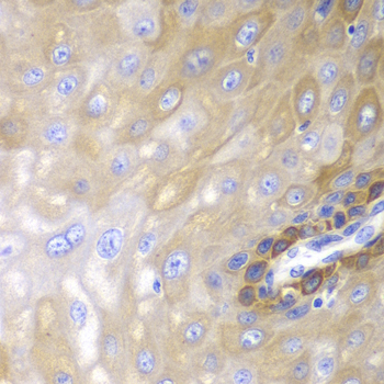 A0190_3.jpg