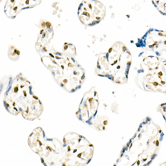 A0193_3.jpg