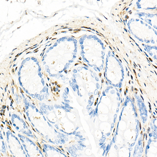 A0193_4.jpg