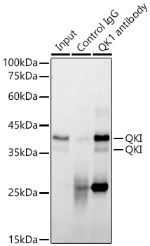 A0193_7.jpg
