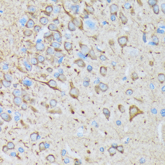 A0198_3.jpg