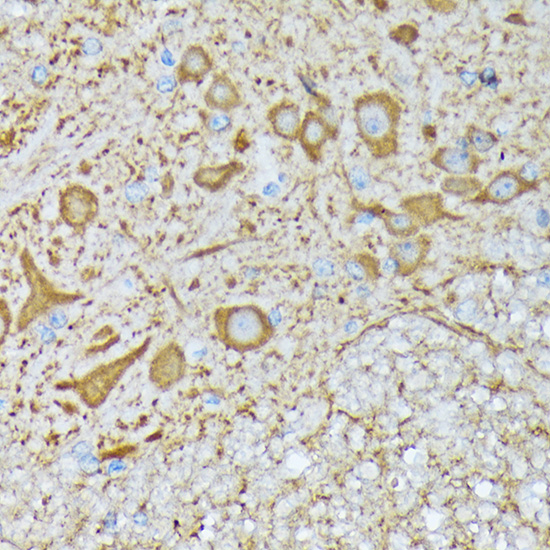 A0198_5.jpg