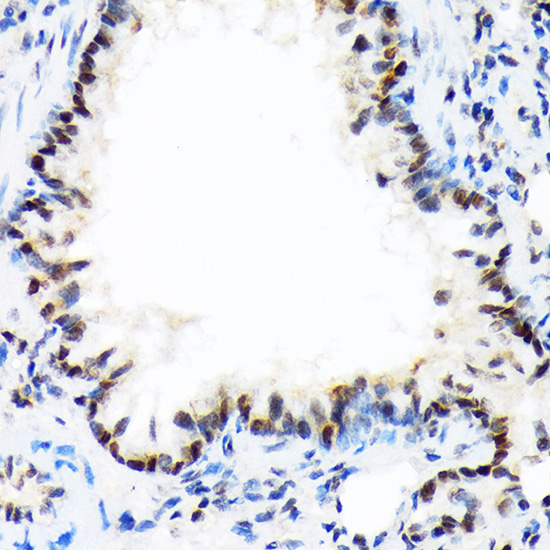 A0315_2.jpg