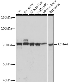 A0350_1.jpg