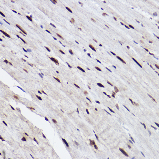 A0542_2.jpg