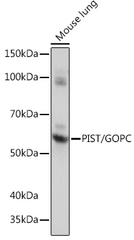 A0582_2.jpg