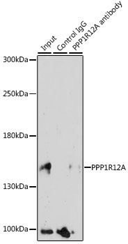 A0587_6.jpg