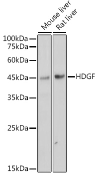 A0589_1.jpg