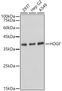 A0589_2.jpg