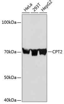 A0653_2.jpg