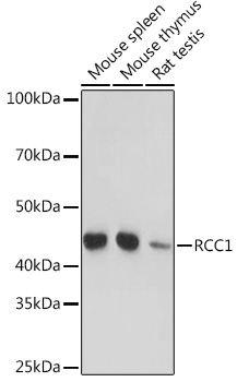 A0662_2.jpg