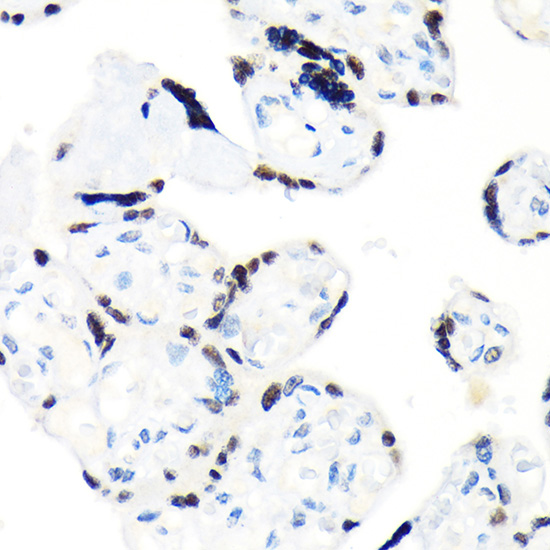 A0662_3.jpg