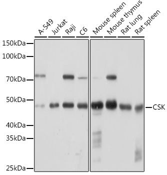 A0666_1.jpg