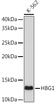 A0670_1.jpg