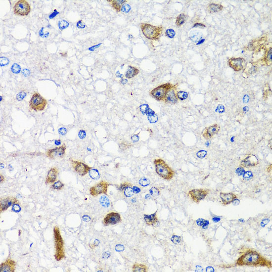 A0678_3.jpg