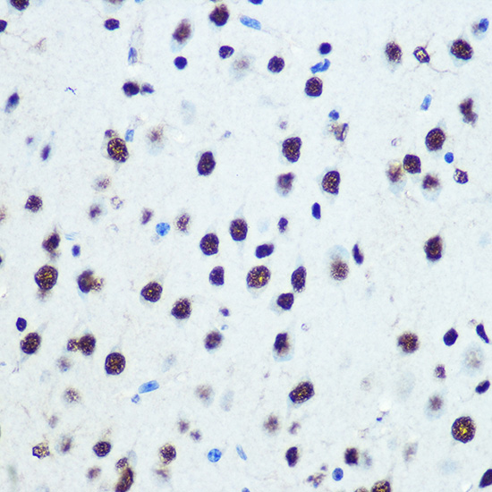 A0772_4.jpg