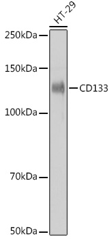 A0818_1.jpg