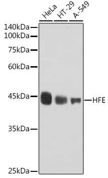 A0937_1.jpg
