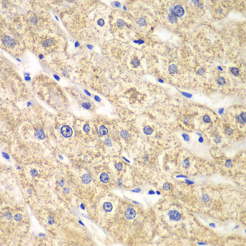 A0945_3.jpg