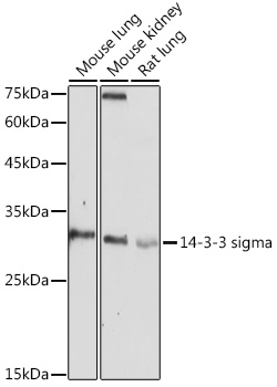 A1026_2.jpg