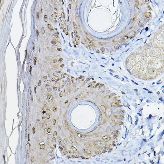 A1026_3.jpg