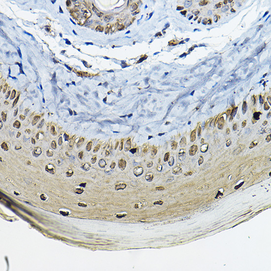 A1026_5.jpg