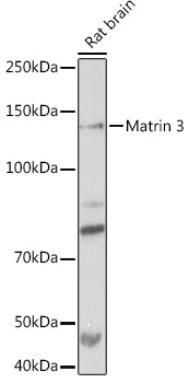 A1027_2.jpg