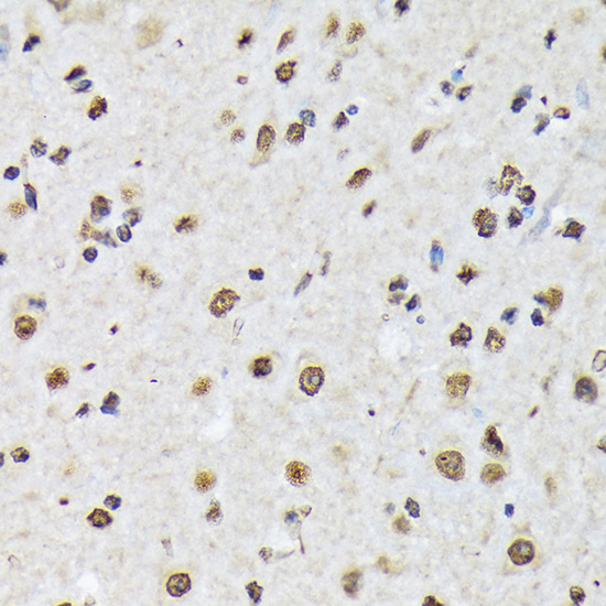 A1027_5.jpg