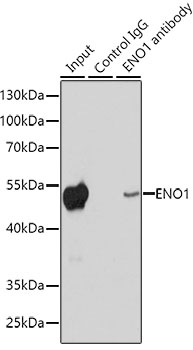 A1033_5.jpg
