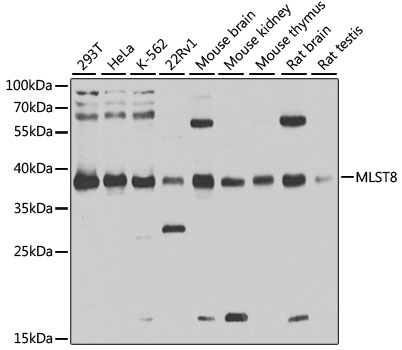 A1059_1.jpg