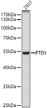 A11128_2.jpg