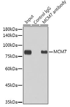 A11325_3.jpg