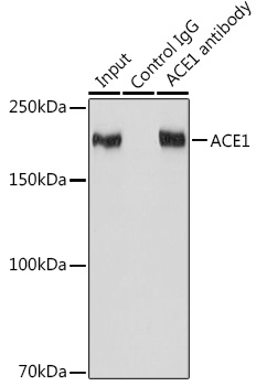 A11357_2.jpg