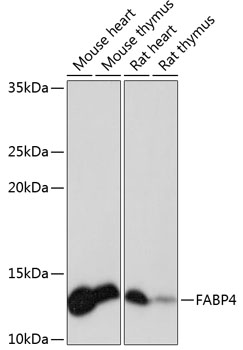 A11481_1.jpg