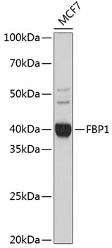 A11664_1.jpg
