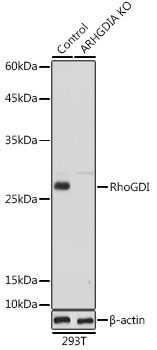 A1214_1.jpg