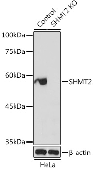 A1215_2.jpg