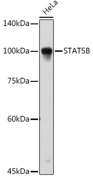 A12356_1.jpg