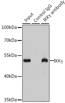 A12536_3.jpg