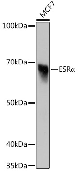 A12976_1.jpg