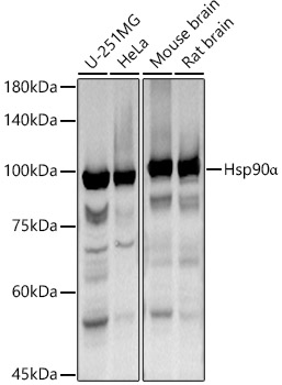 A13501_1.jpg